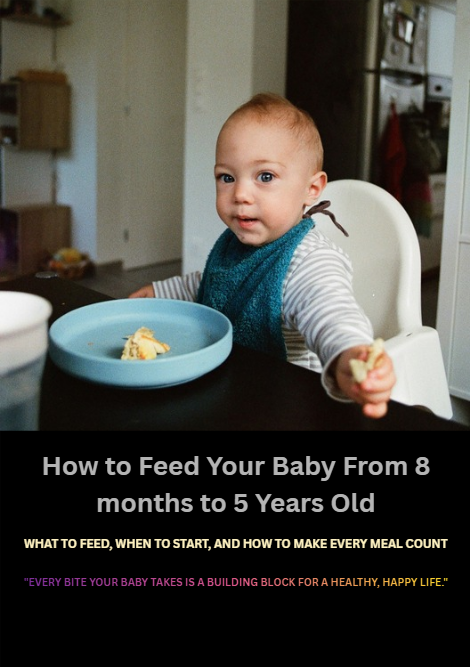 How to Feed Your Baby From 8 months to 5 Years Old